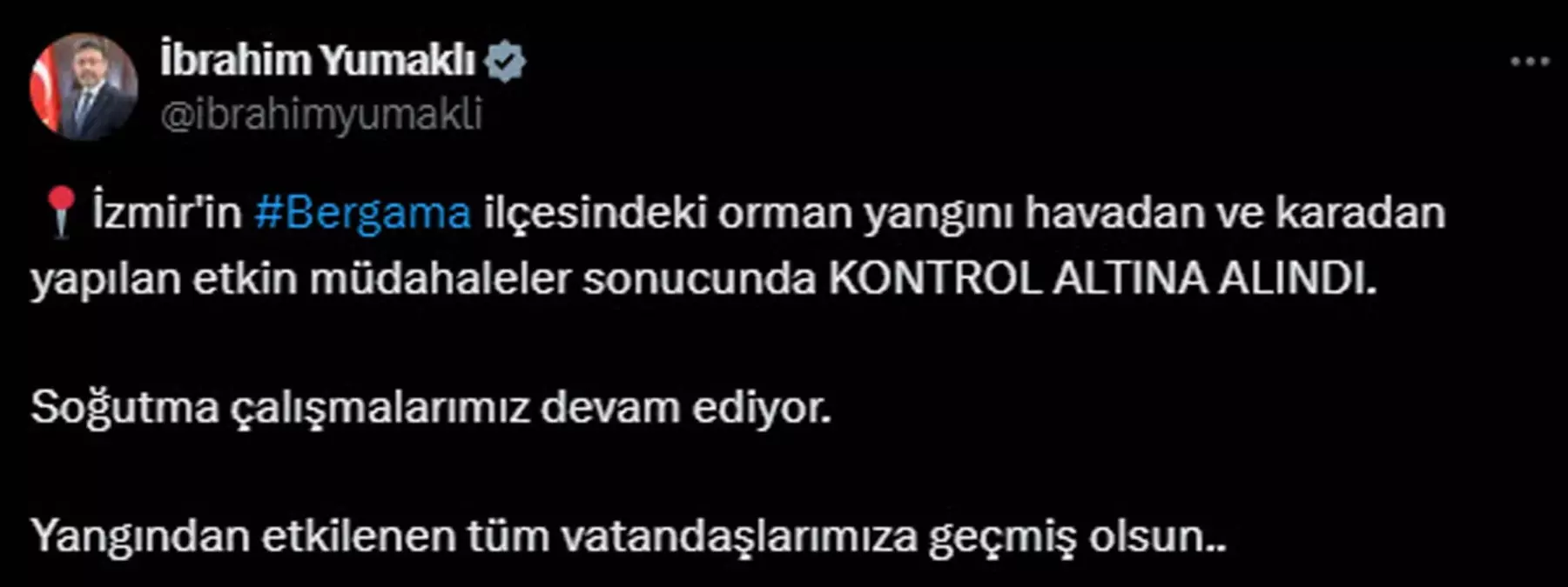 İzmir\'in Bergama ilçesindeki orman yangını kontrol altına alındı