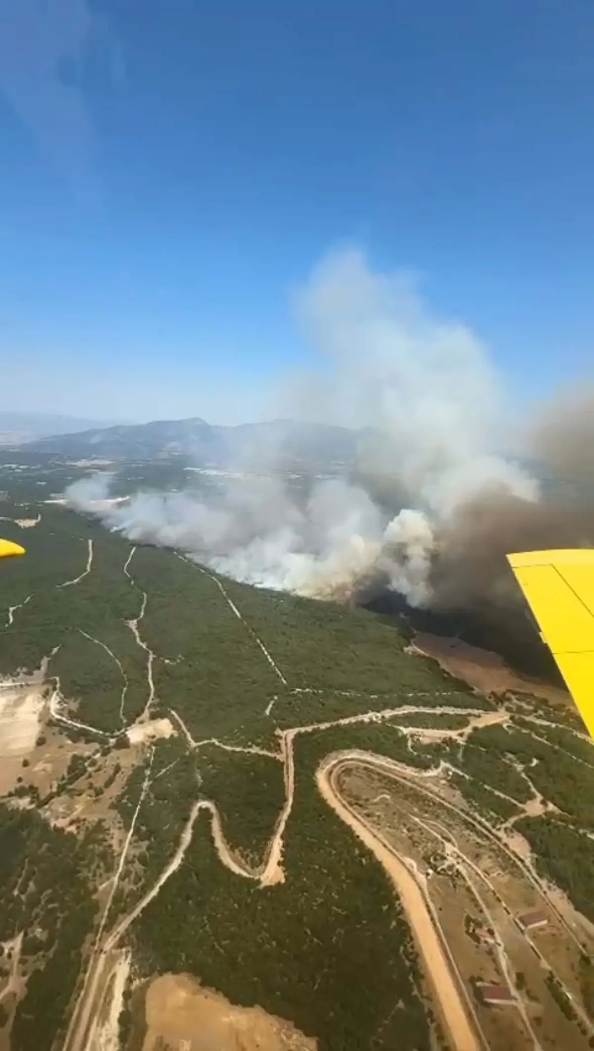 İzmir Buca\'da Orman Yangını: Havadan ve Karadan Müdahale Sürüyor