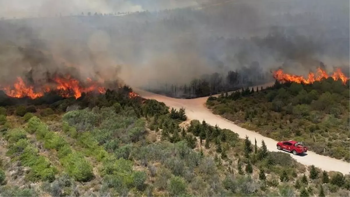 Çeşme\'de 3 kişinin hayatını kaybettiği orman yangınında 2 tutuklama