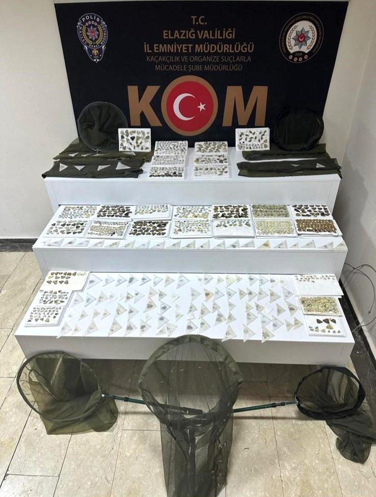 Elazığ\'da Bin 472 Endemik Kelebek Ele Geçirildi