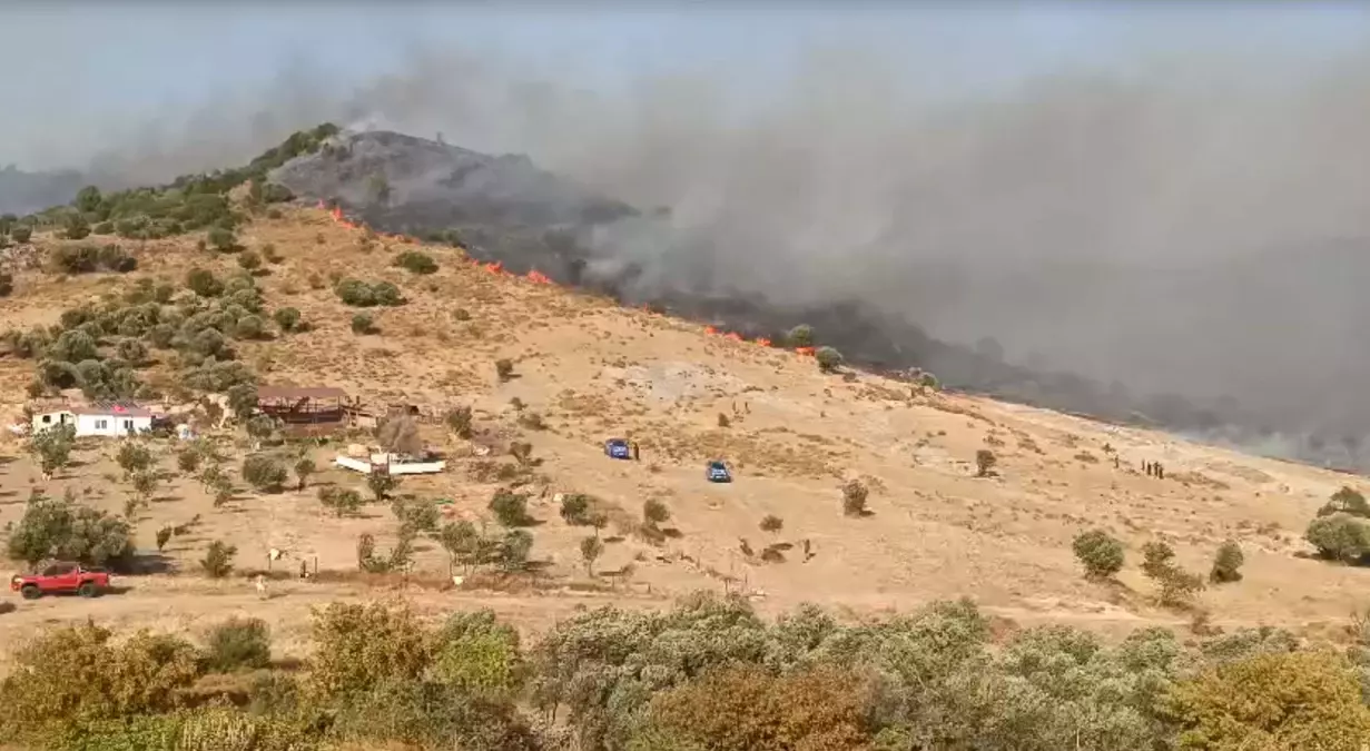 Foça\'da çıkan orman yangınında mahalle tahliye edildi