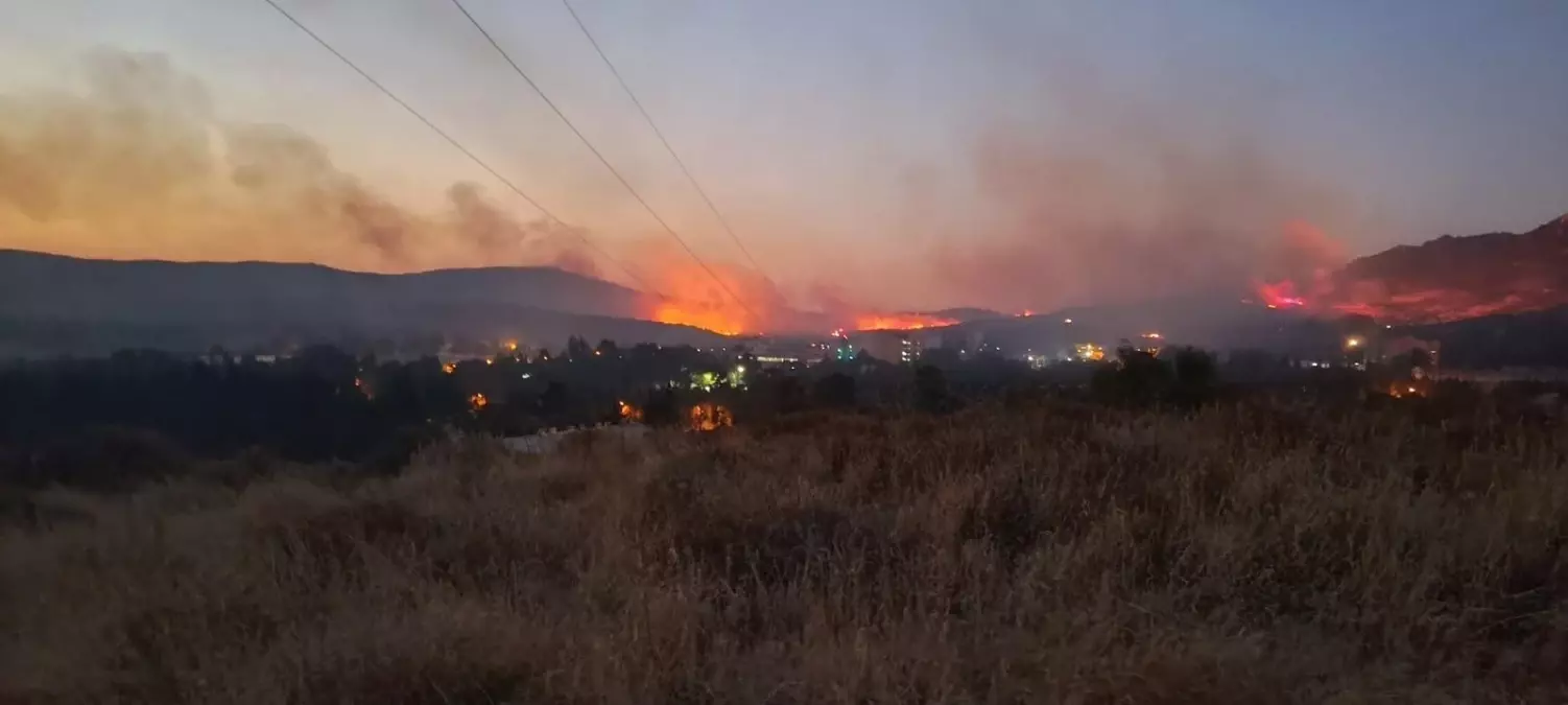 Foça\'da çıkan orman yangını kontrol altına alındı