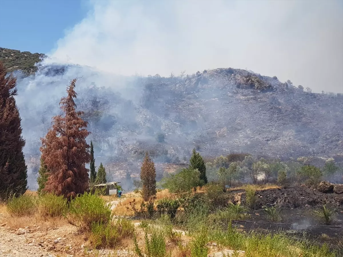 İzmir\'deki orman yangını kontrol altına alındı