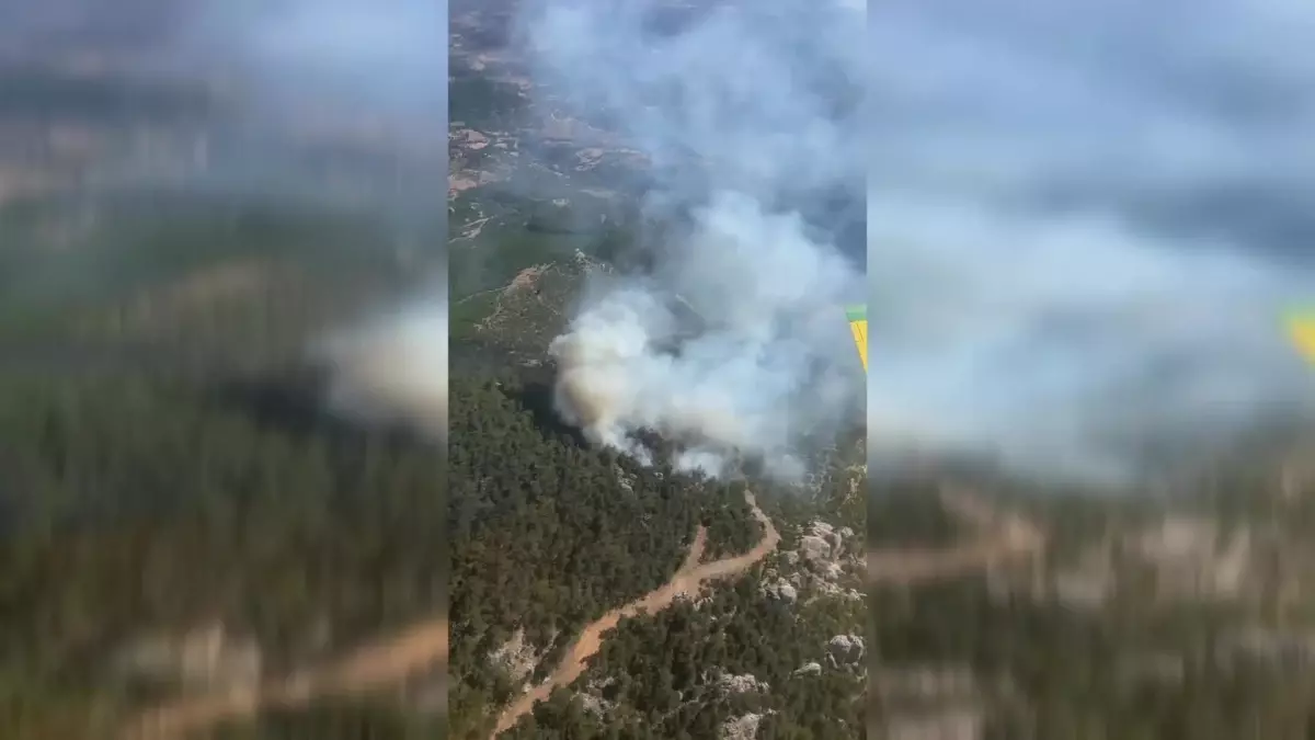 İzmir Bergama\'da Orman Yangını: Havadan ve Karadan Müdahale Devam Ediyor