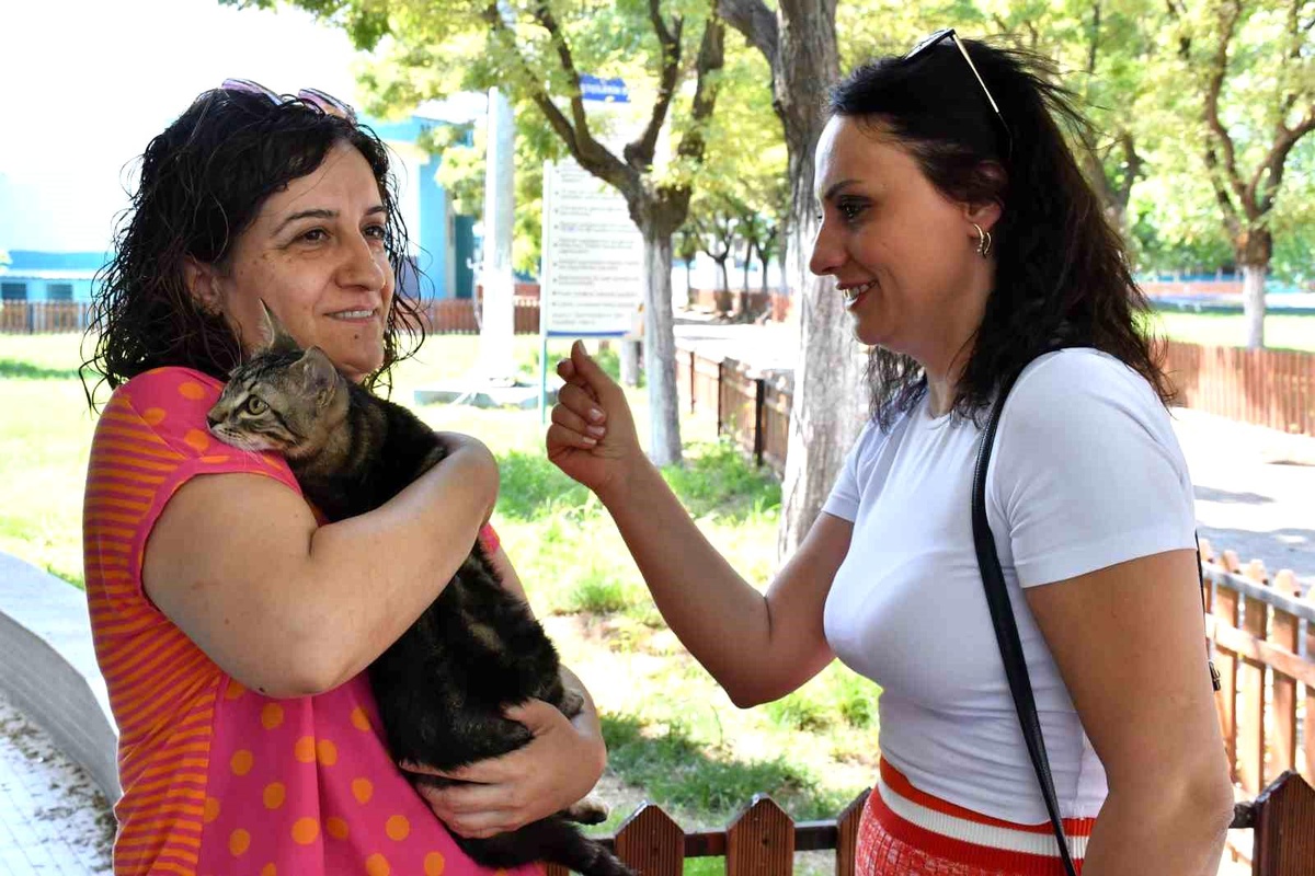 Manisa Büyükşehir Belediyesi Hayvan Bakım ve Tedavi Merkezi Sokak Hayvanlarına Yardım Ediyor