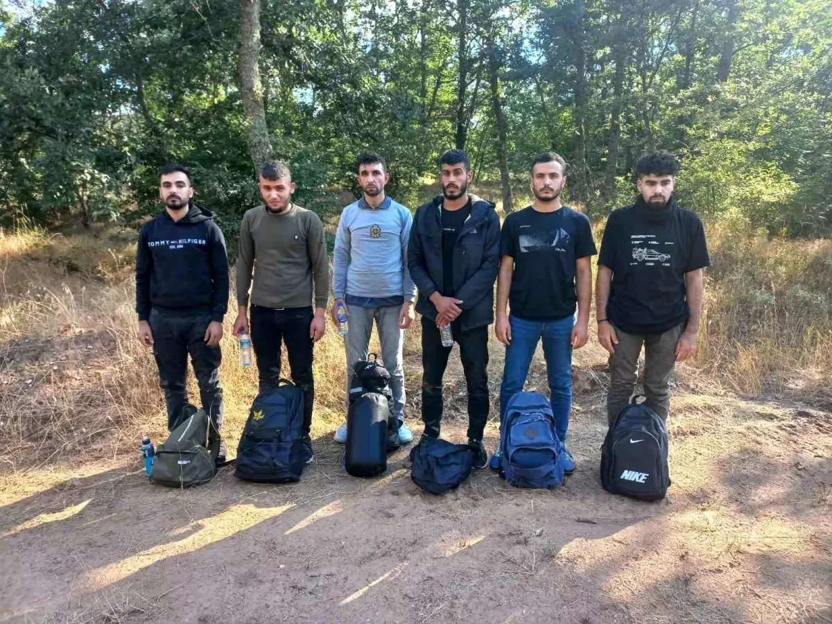 Edirne\'de Yakalanan Düzensiz Göçmenler Bulgaristan\'a Geçmeye Çalışırken Yakalandı