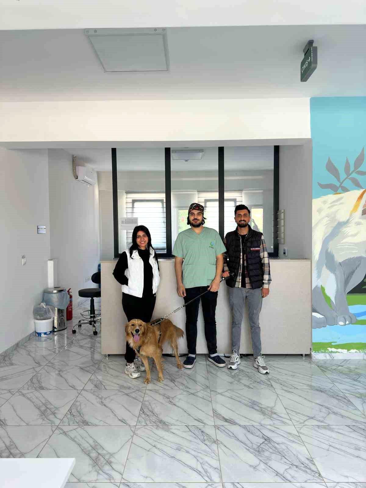 Çayırova\'da 70 Sokak Hayvanı Sahiplendirildi