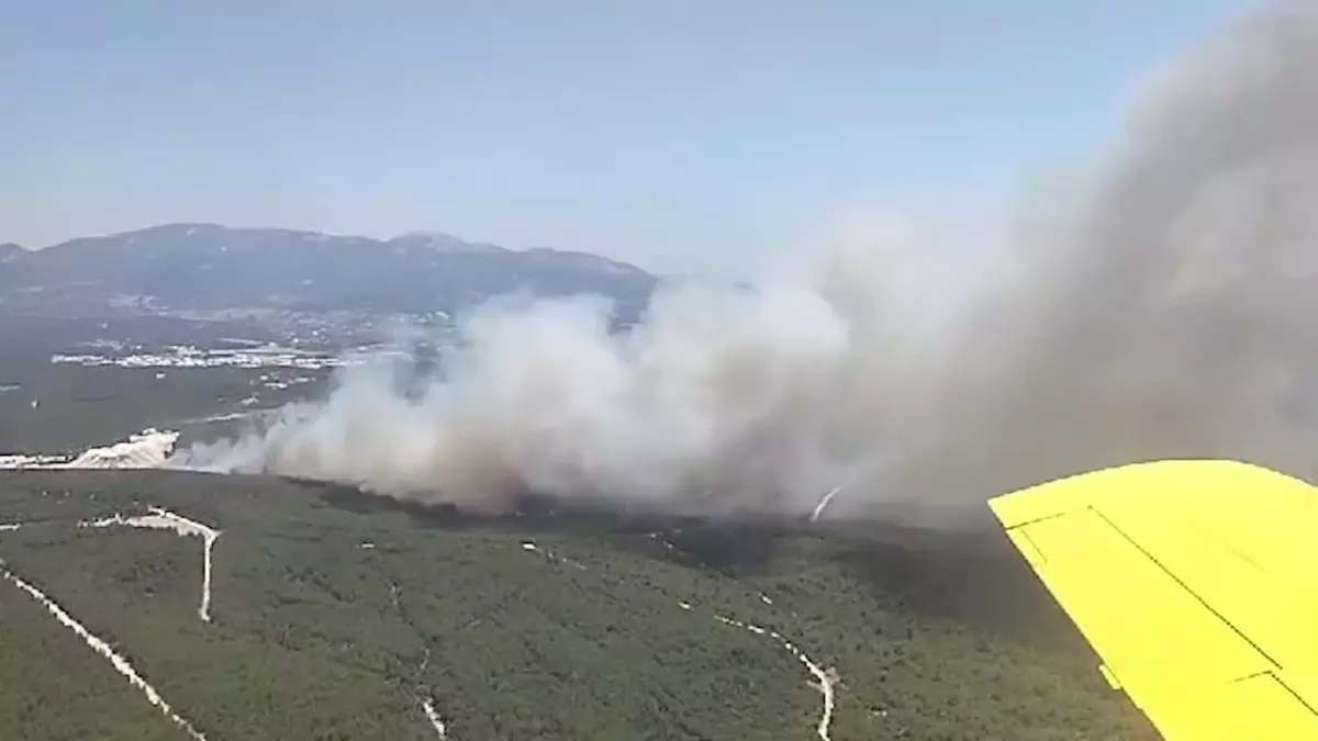 İzmir\'in Buca ilçesinde orman yangını çıktı