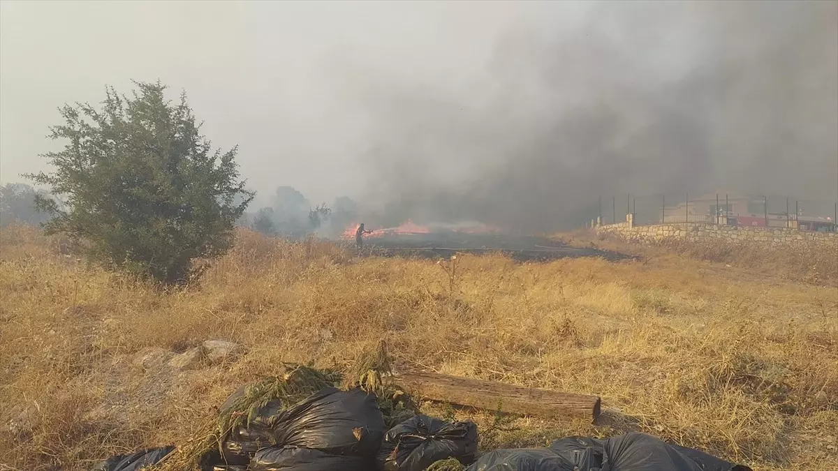 İzmir Foça\'da Orman Yangınına Havadan ve Karadan Müdahale Ediliyor