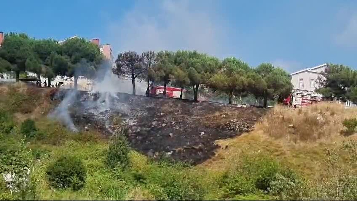 Sinop\'ta çam ağaçlarına zarar veren yangın