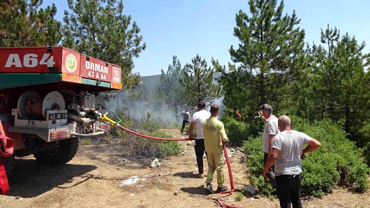 Tavşanlı\'da Orman Yangını Kısa Sürede Söndürüldü