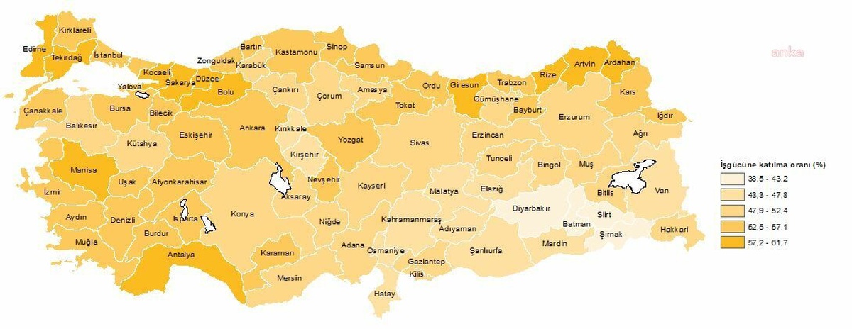 2023 Yılında İşsizlik Oranı En Yüksek Hakkari, En Düşük Sinop Oldu