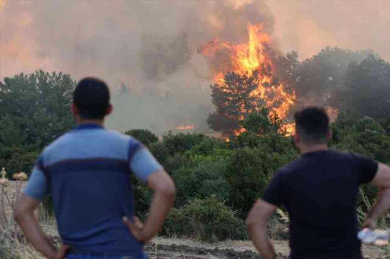 Alevler yerleşim yerlerine sıçramak üzereydi! İzmir'de 20 saattir süren orman yangını kontrol altına alındı