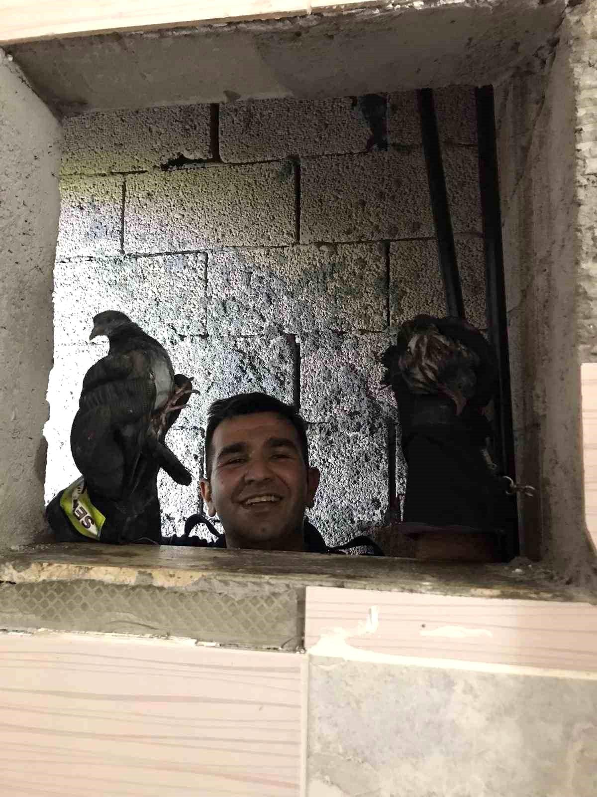 İskenderun\'da apartman boşluğuna düşen kuşlar itfaiye tarafından kurtarıldı