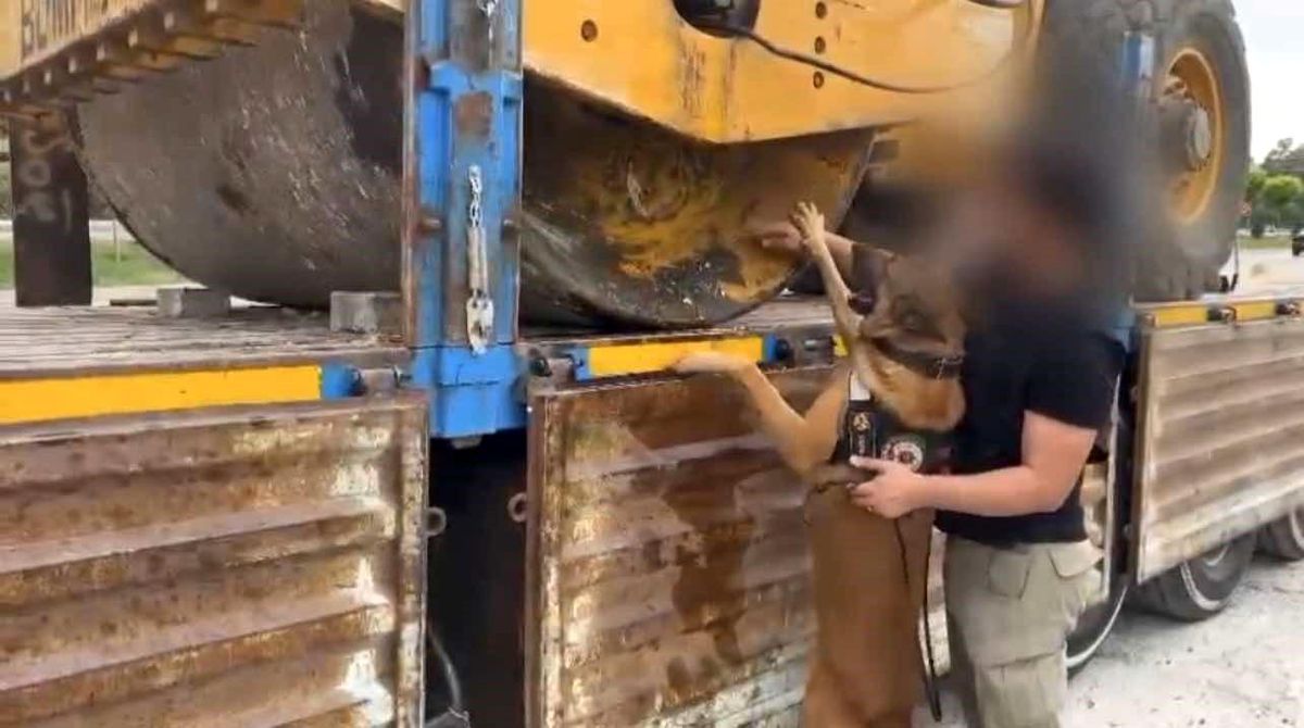 Osmaniye\'de Tırın Dorse Kısmında 77 Kilo Uyuşturucu Ele Geçirildi