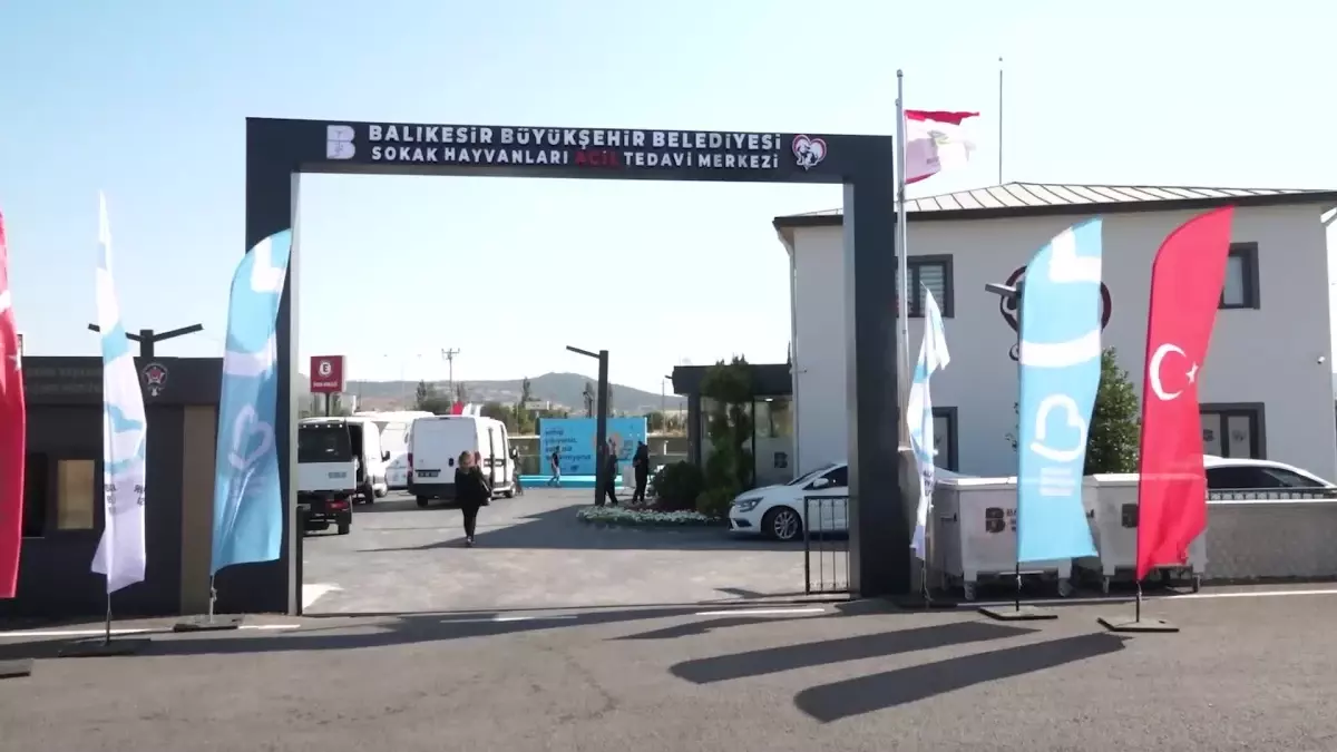 Balıkesir Büyükşehir Belediyesi Sokak Hayvanlarını Sahiplendirme Seferberliği Başlattı