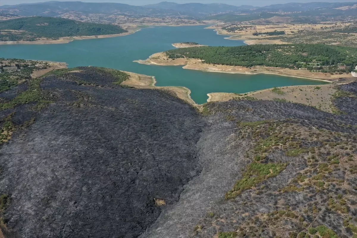 Balıkesir\'de çıkan yangına neden olduğu iddiasıyla tutuklama