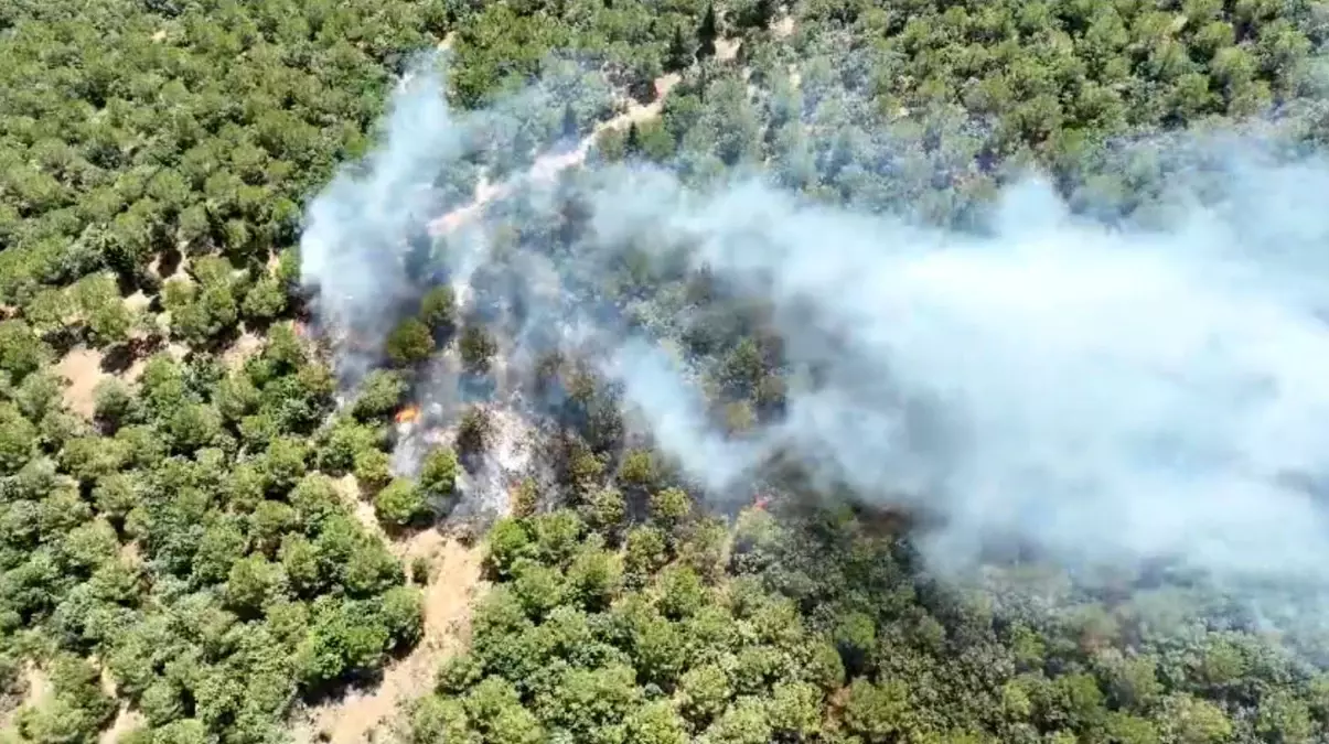 Çanakkale\'de Orman Yangınına Havadan ve Karadan Müdahale