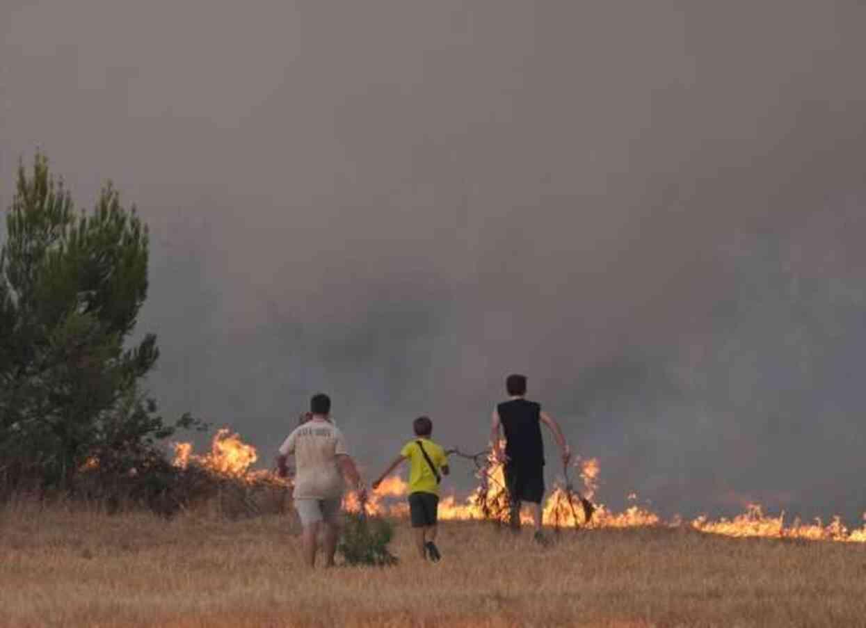 Buca'da başlayıp Gaziemir'e de sıçrayan orman yangını 2'nci gününde