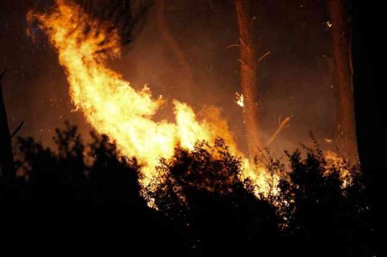 İzmir'de alevler saatlerdir söndürülemiyor! 1 mahallenin tahliyesine başlandı