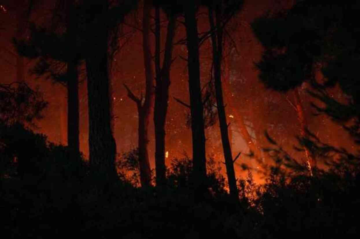 İzmir'de alevler saatlerdir söndürülemiyor! 1 mahallenin tahliyesine başlandı