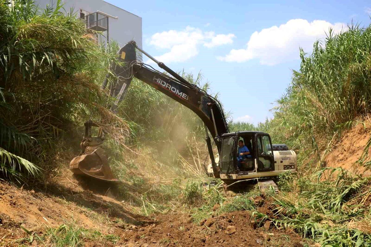 Muğla Büyükşehir Belediyesi Milas\'ta Balavca Deresi Temizliği Başlattı