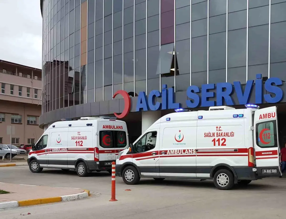 Erzincan\'da kamyona çarpan otomobilde 2 kişi hayatını kaybetti