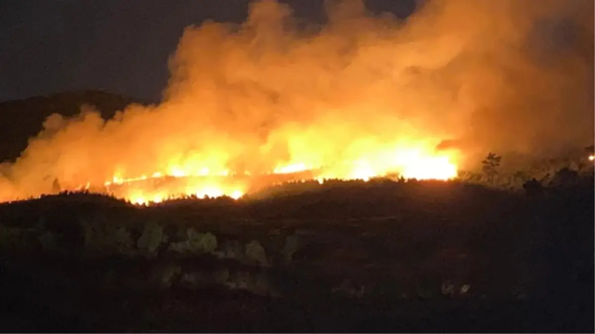 Uşak, Çanakkale ve Balıkesir\'de orman yangını alarmı! Çok sayıda ev tahliye edildi