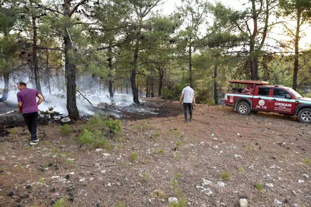 Uşak\'ta tarlada başlayan yangın kısmen kontrol altına alındı