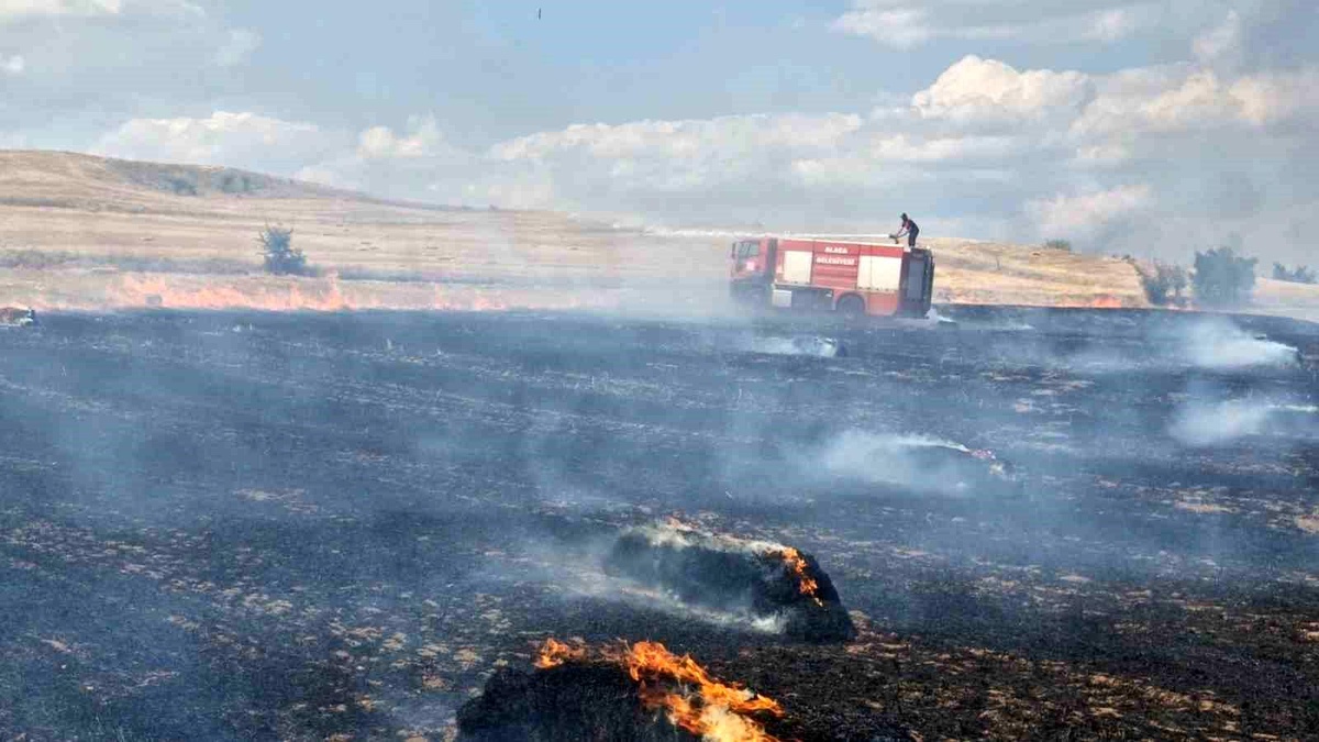 Çorum\'un Alaca ilçesinde anız yangını: 500 saman balyası kül oldu