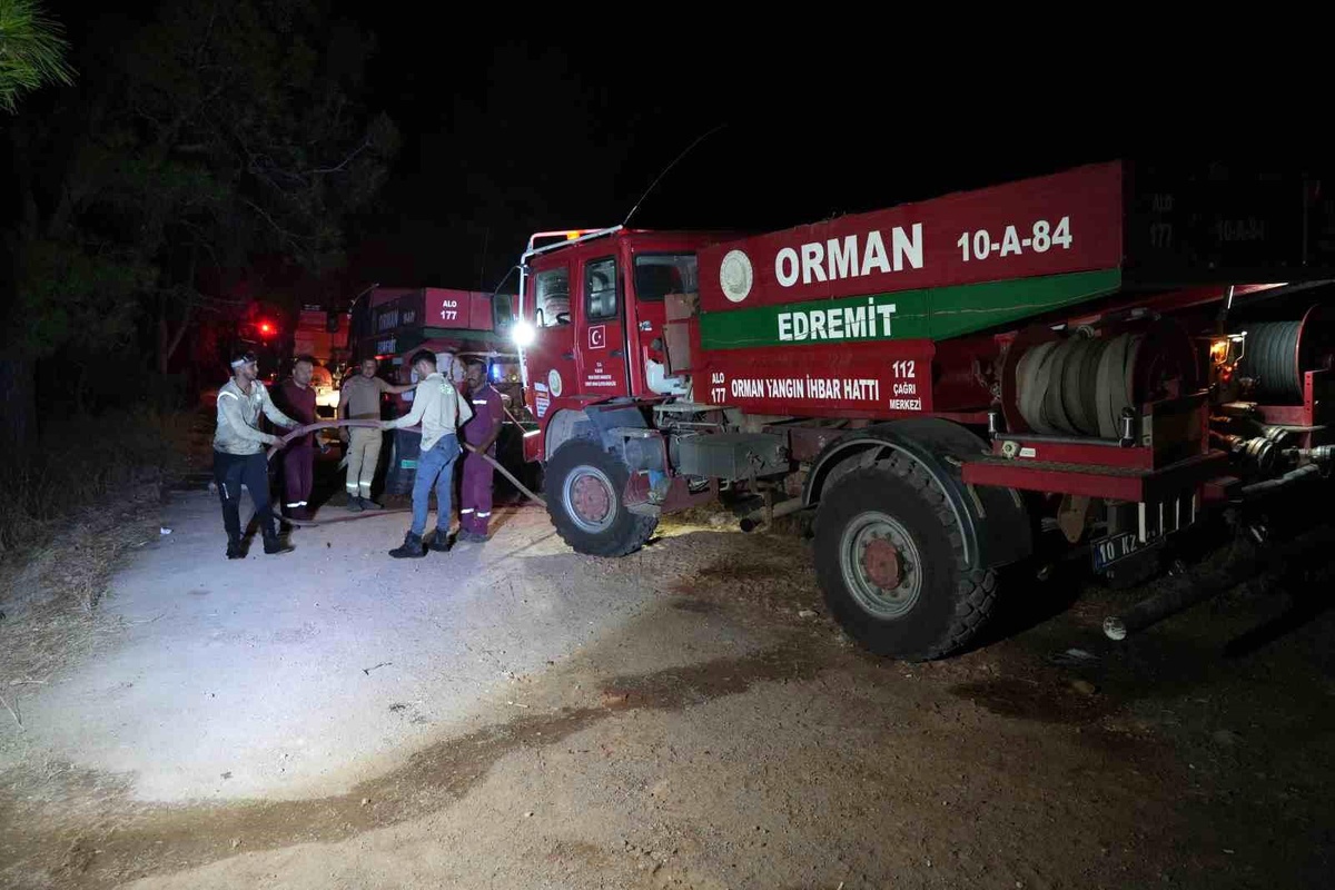 Ayvalık\'ta çıkan orman yangını kontrol altına alındı