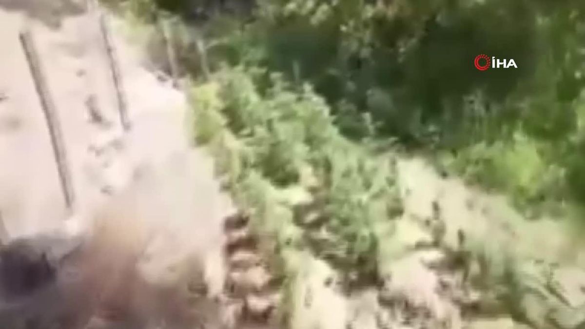 Bingöl\'de kenevir ve skunk bitkisi ele geçirildi