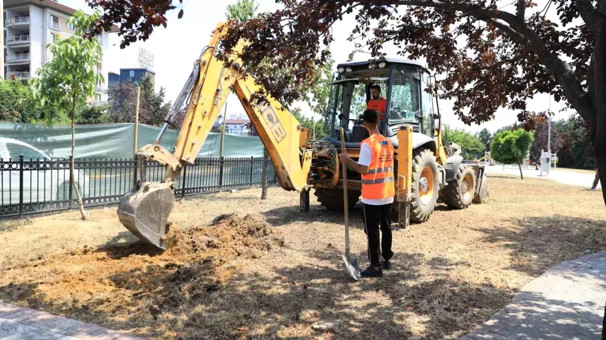 Çekmeköy\'deki Zeki Velidi Togan Parkı\'nda Altyapı ve Sulama Sorunu