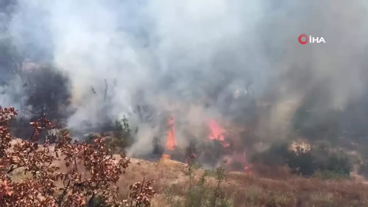 Osmaniye\'de makilik alanda çıkan yangın söndürüldü