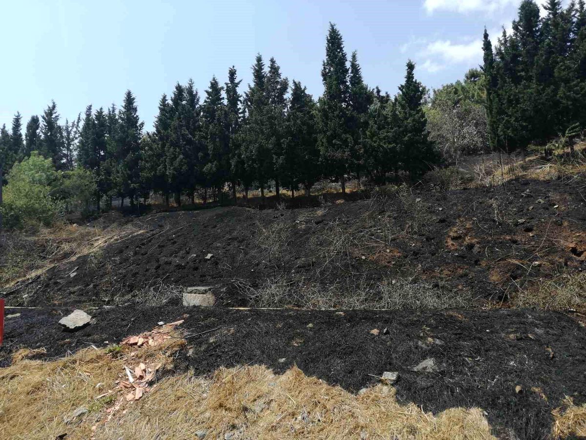 Sancaktepe\'de Ormanlık Alanda Yangın Çıktı