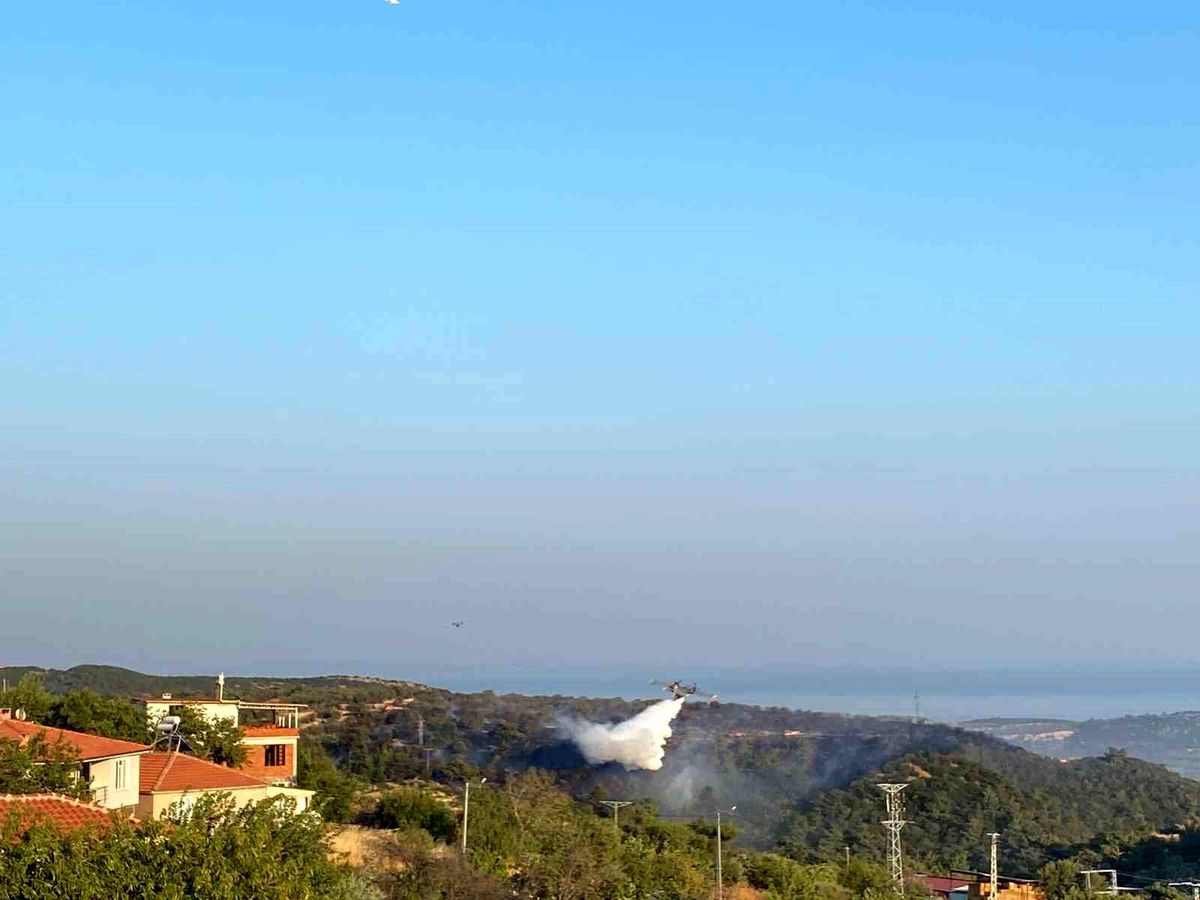 Çanakkale Ayvacık\'ta Orman Yangını Kontrol Altına Alındı