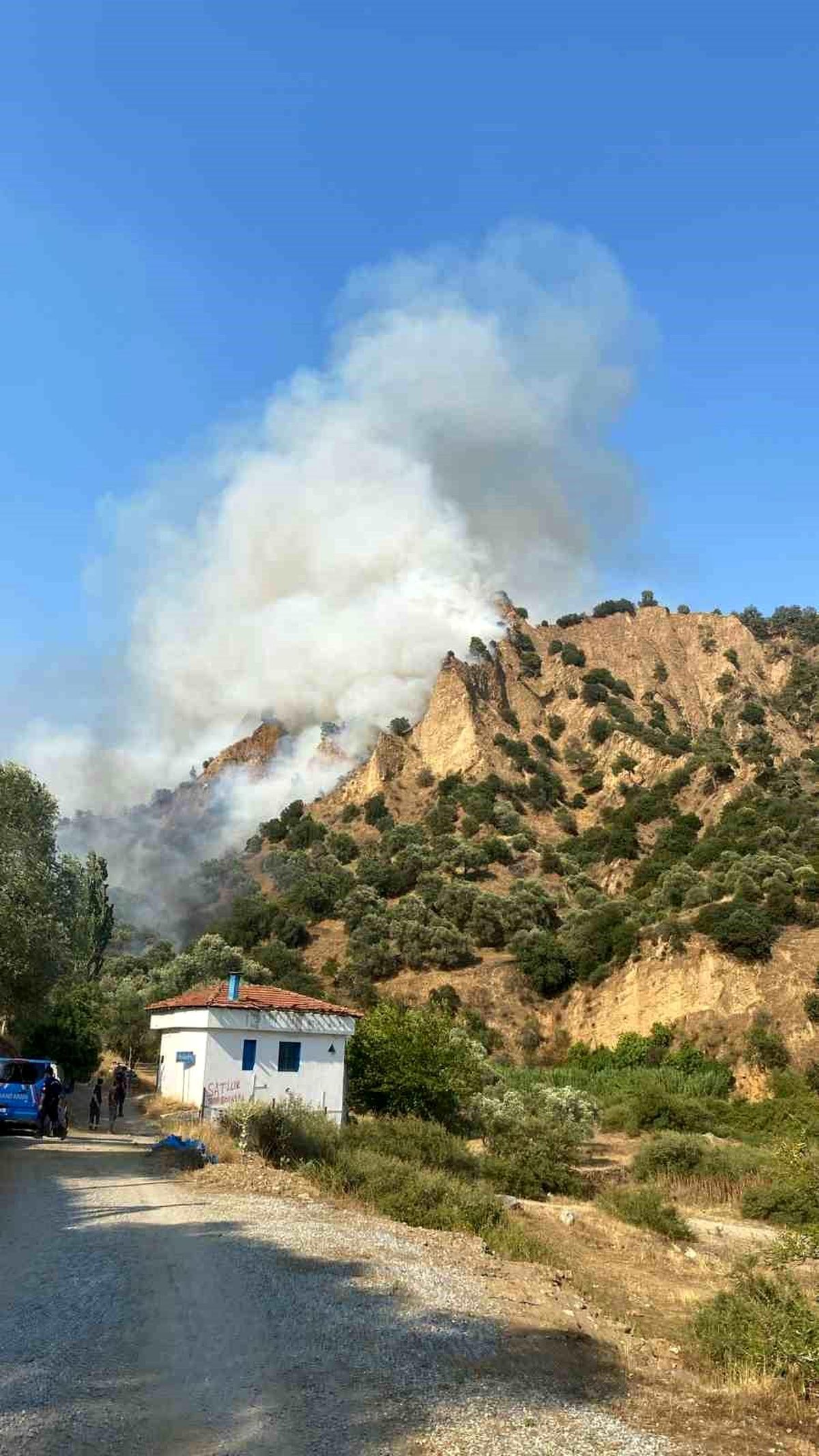 Aydın\'ın Nazilli ilçesinde makilik ve zeytinlik alanda yangın çıktı