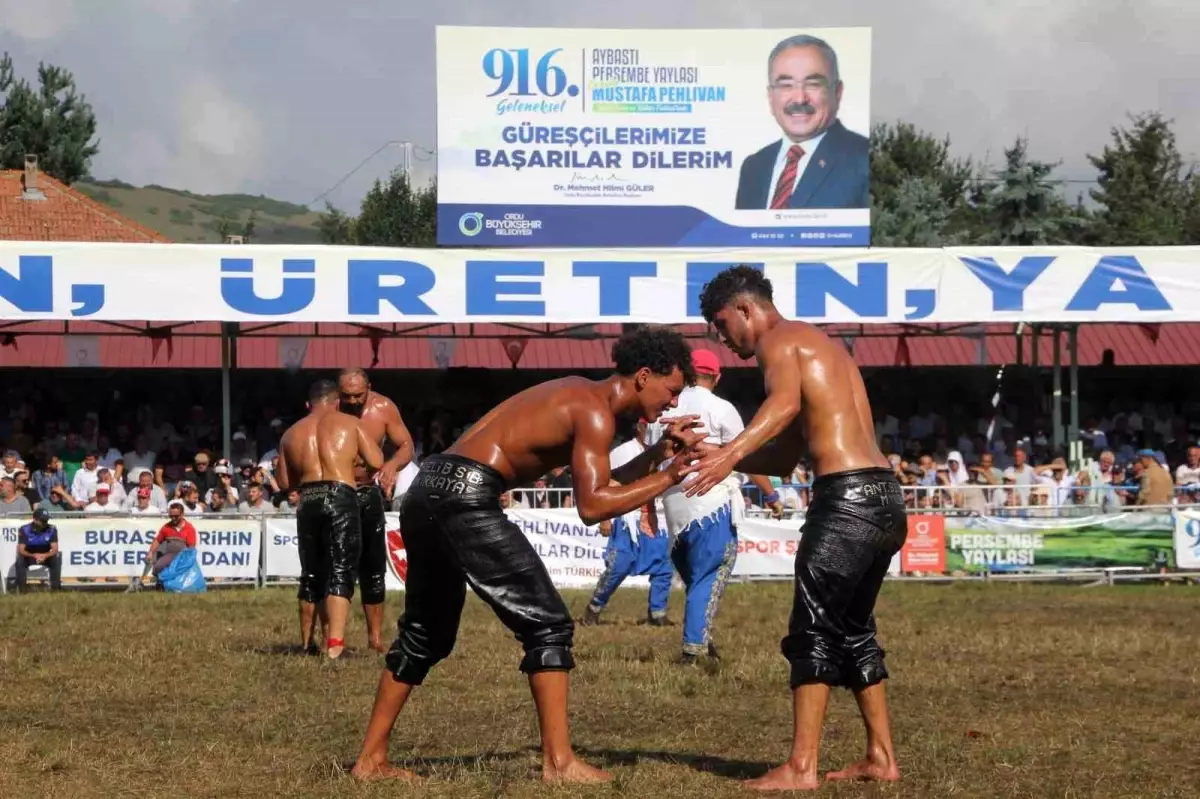 Ordu\'da 916. Aybastı Perşembe Yaylası Yağlı Güreş ve Kültür Festivali Son Buldu