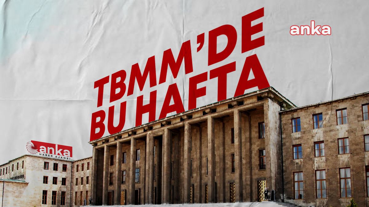 TBMM\'de Vergi Kanunları ve Hayvanları Koruma Kanunu görüşülecek