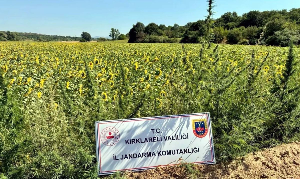 Narkoçelik-28 Operasyonunda 59 Şüpheli Yakalandı