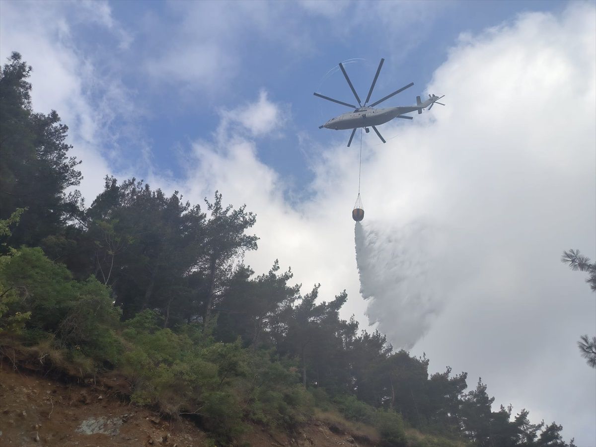Hatay\'ın Arsuz ilçesinde çıkan yangın kontrol altına alındı