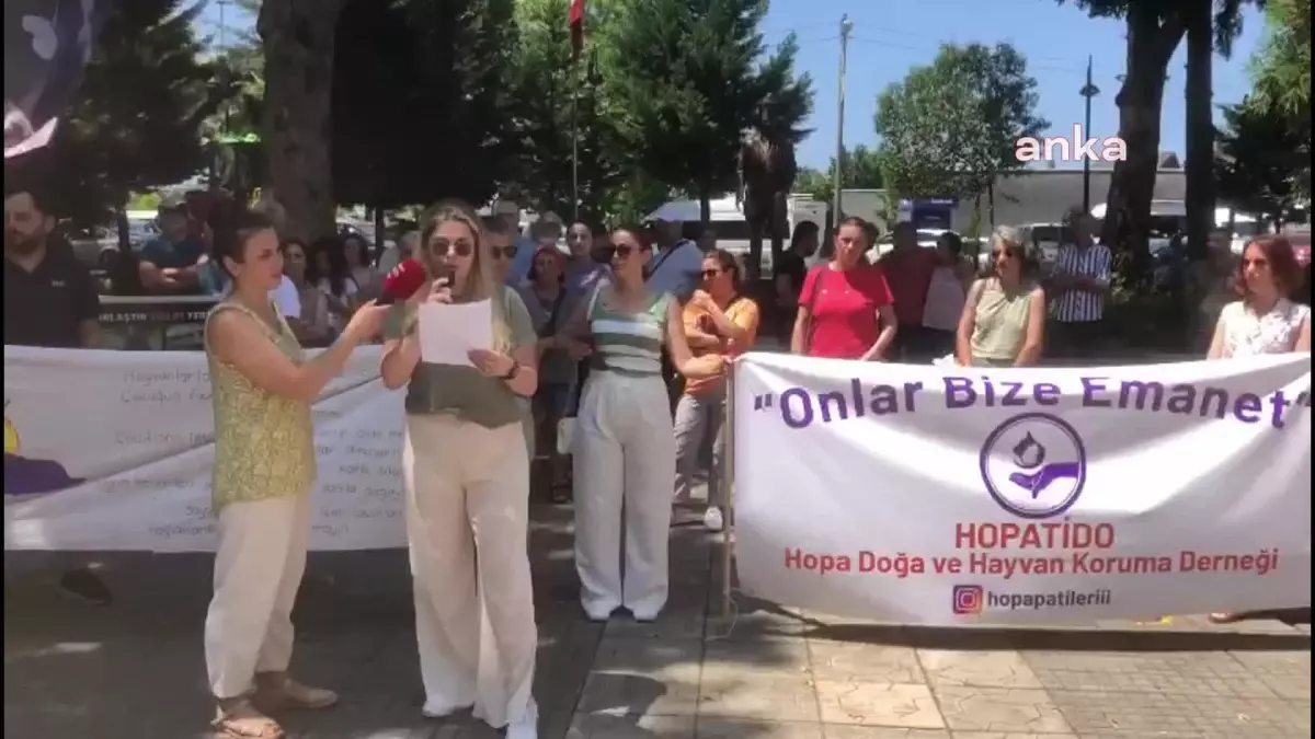 Hayvanseverler Ötanazi Kanun Teklifini Protesto Etti