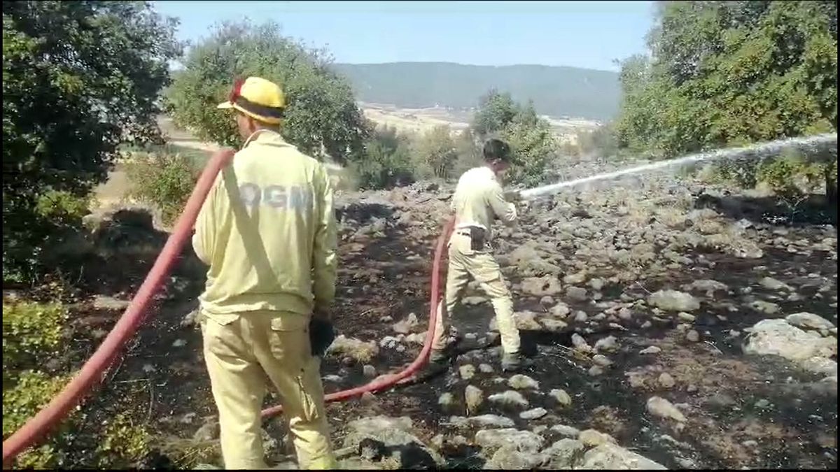 Kahramanmaraş\'ta çıkan orman yangını kontrol altına alındı