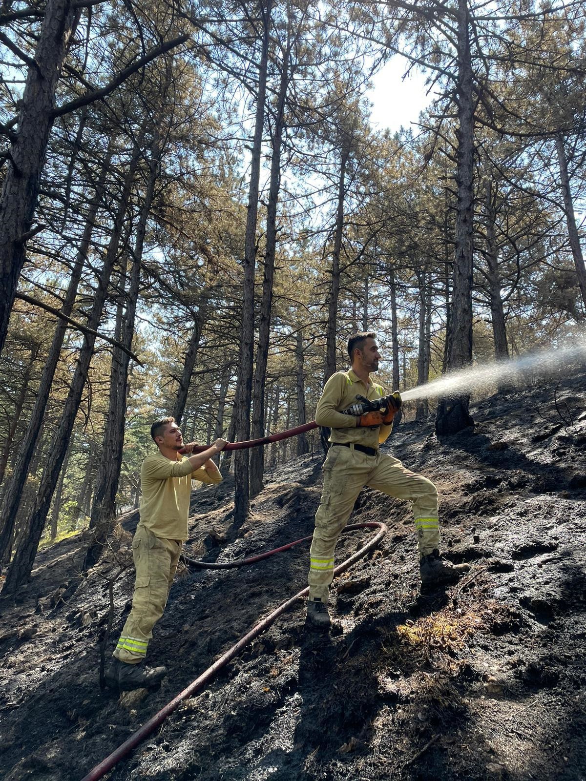 Karabük\'te Orman Yangını: 12 Hektar Alan Zarar Gördü