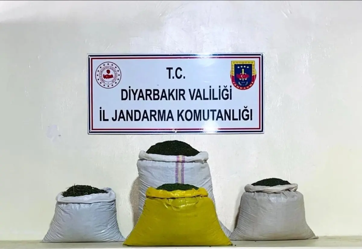 Diyarbakır\'da büyük uyuşturucu operasyonu: 170 bin 500 kök kenevir bitkisi ve 52 kilogram toz esrar ele geçirildi