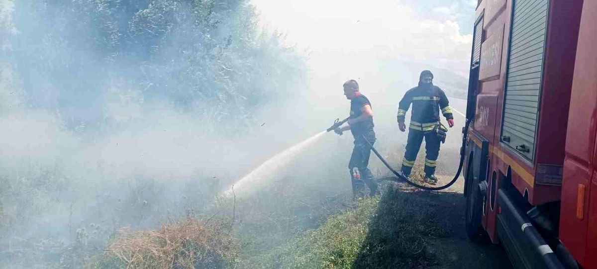Erzincan\'da kuru otların bulunduğu arazide çıkan yangın kontrol altına alındı