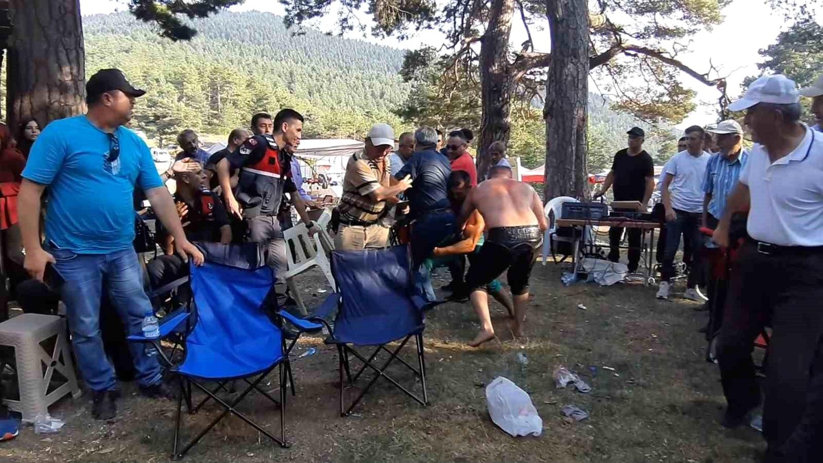 Şimşir Bayramı\'nda güreşçi yanlışlıkla vatandaşı yere serdi