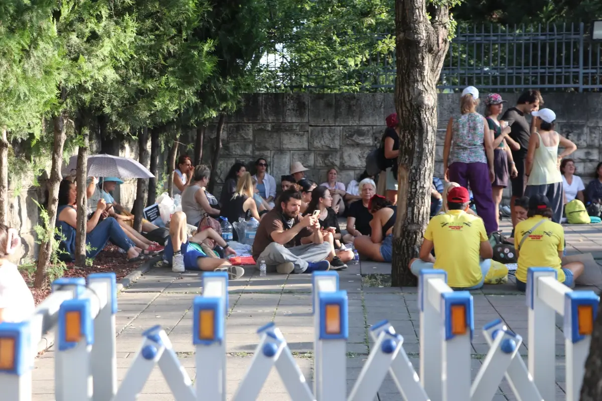 Sahipsiz Sokak Hayvanlarına İlişkin Kanun Teklifi Değişti