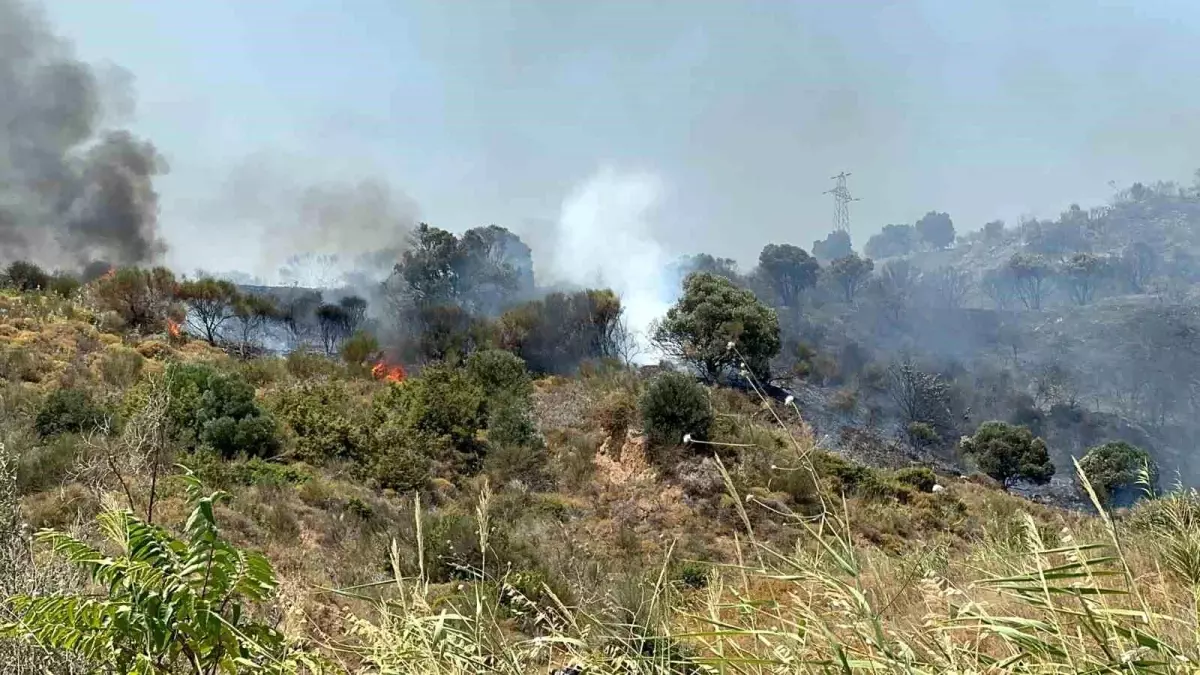 Şarköy\'deki Yangın Kontrol Altına Alındı