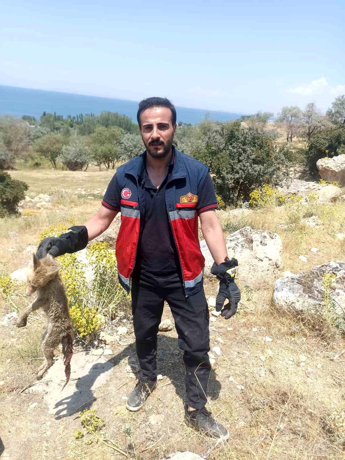 Defineciler Tarafından Kazılan Kuyuda Düşen Yavru Tilki Kurtarıldı